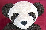 teddy bear style little bear